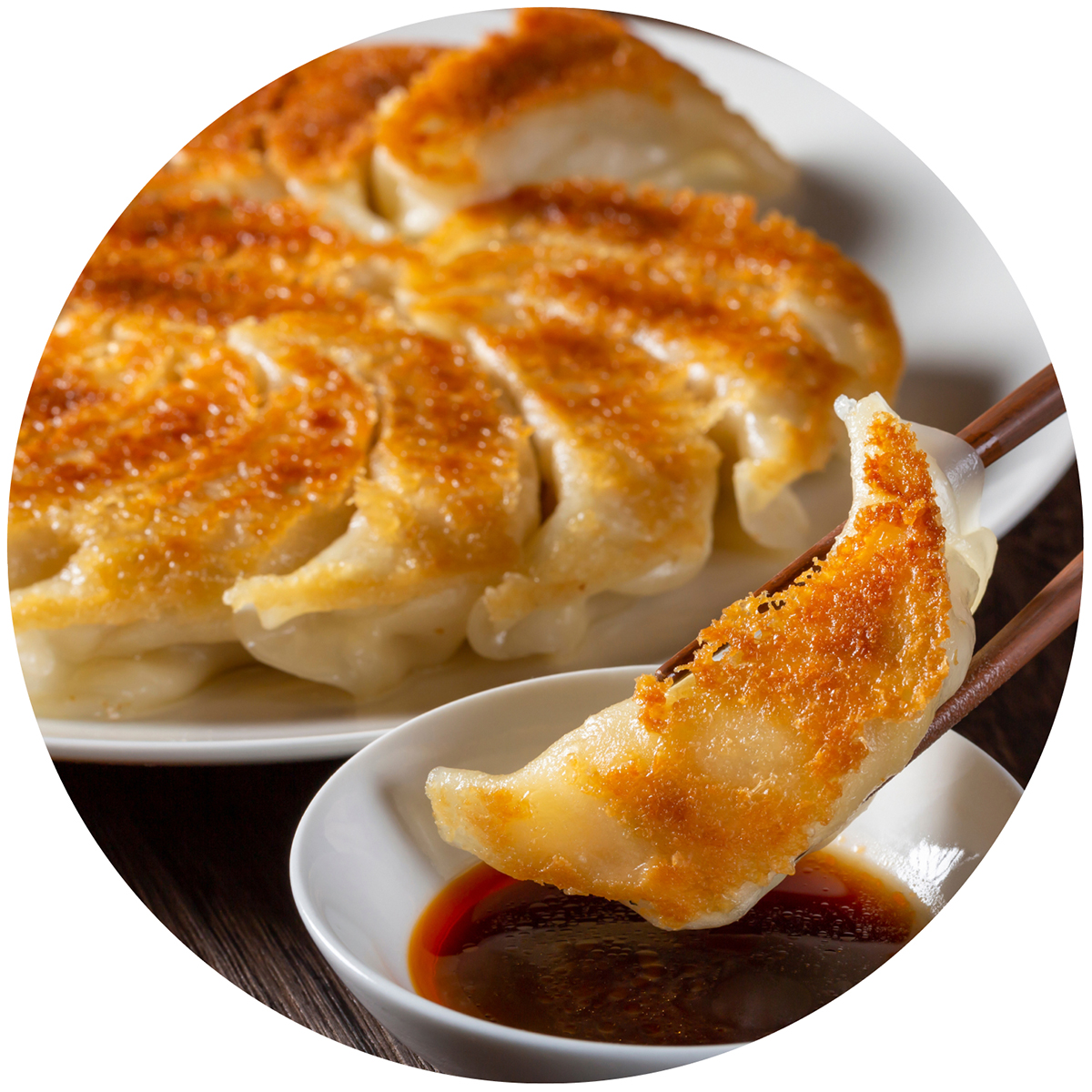 宇都宮餃子を食べ比べ