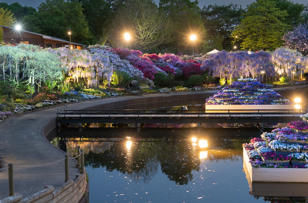 足利フラワーパーク