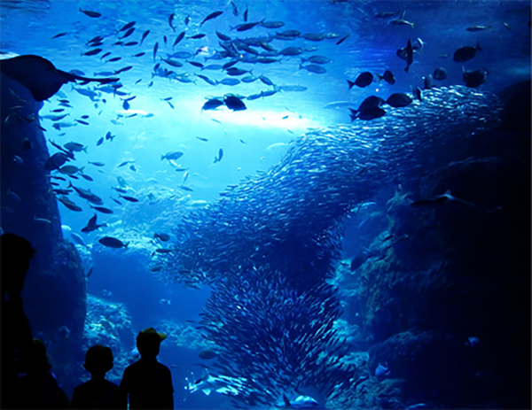 開発部 開発2課 S.T.